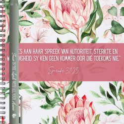 A6 Notebook & Pen (Afrikaans)